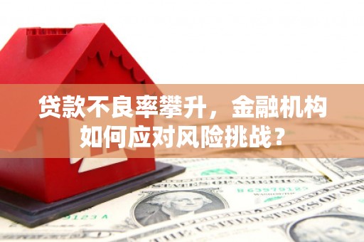 璧山贷款不良率攀升，金融机构如何应对风险挑战？