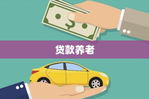 璧山贷款养老