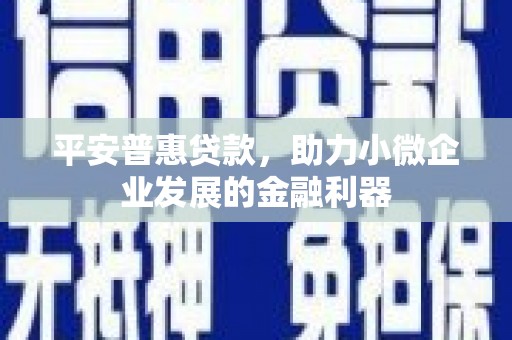 璧山平安普惠贷款，助力小微企业发展的金融利器