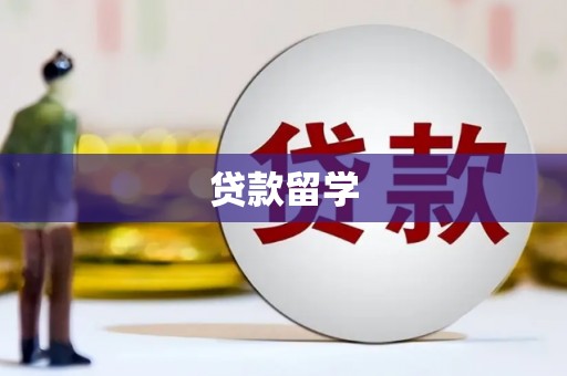 璧山贷款留学