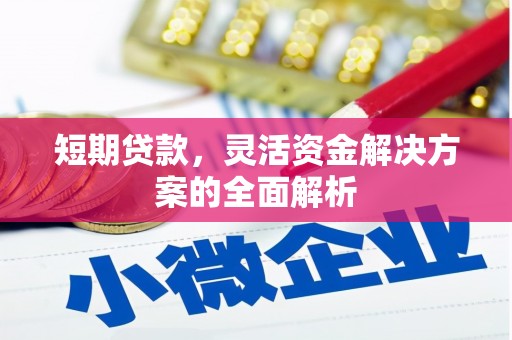 璧山短期贷款，灵活资金解决方案的全面解析