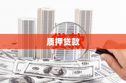 璧山质押贷款