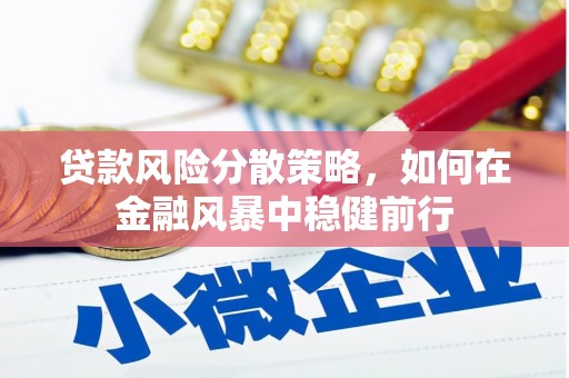 璧山贷款风险分散策略，如何在金融风暴中稳健前行