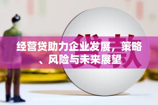 璧山经营贷助力企业发展，策略、风险与未来展望