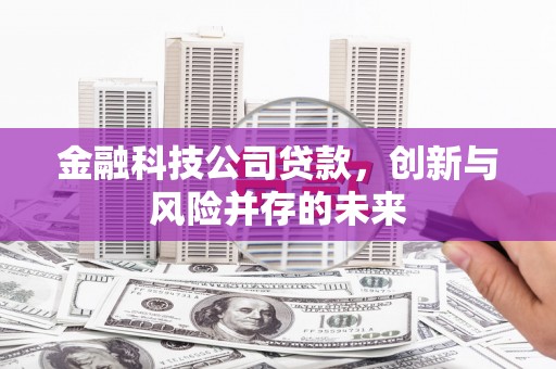 璧山金融科技公司贷款，创新与风险并存的未来