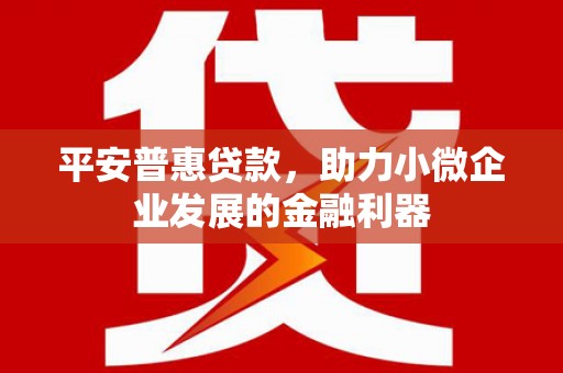 璧山平安普惠贷款，助力小微企业发展的金融利器