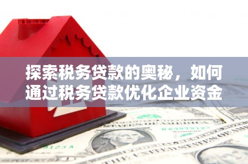 璧山探索税务贷款的奥秘，如何通过税务贷款优化企业资金流