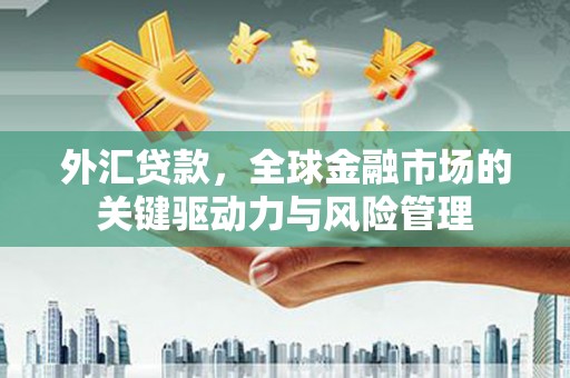 璧山外汇贷款，全球金融市场的关键驱动力与风险管理
