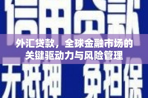 璧山外汇贷款，全球金融市场的关键驱动力与风险管理