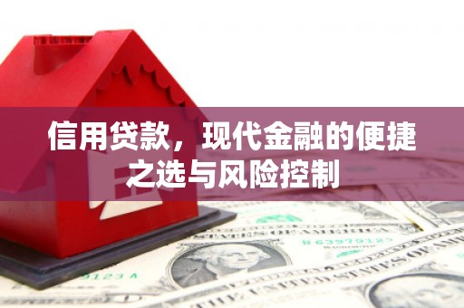 璧山信用贷款，现代金融的便捷之选与风险控制