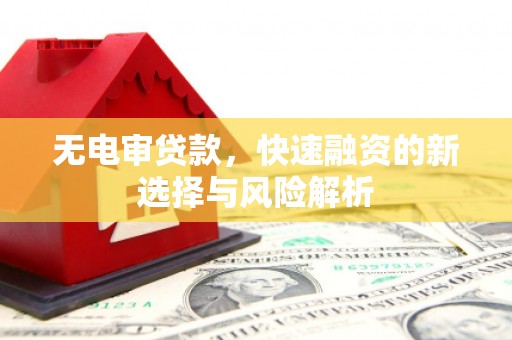 璧山无电审贷款，快速融资的新选择与风险解析