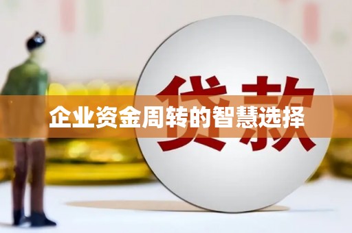 璧山企业资金周转的智慧选择