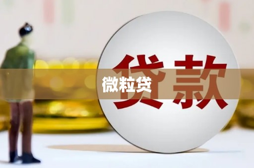 璧山微粒贷