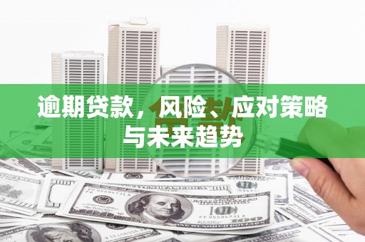 璧山逾期贷款，风险、应对策略与未来趋势