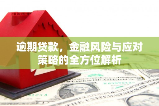 璧山逾期贷款，金融风险与应对策略的全方位解析