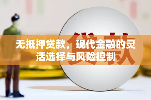 璧山无抵押贷款，现代金融的灵活选择与风险控制