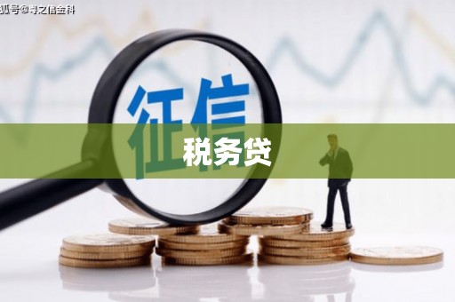 璧山税务贷