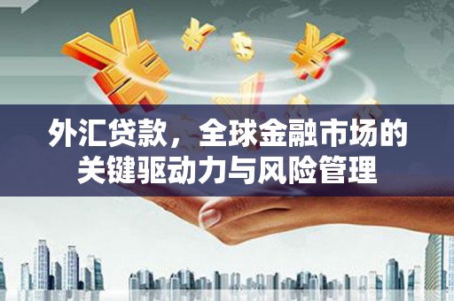 璧山外汇贷款，全球金融市场的关键驱动力与风险管理