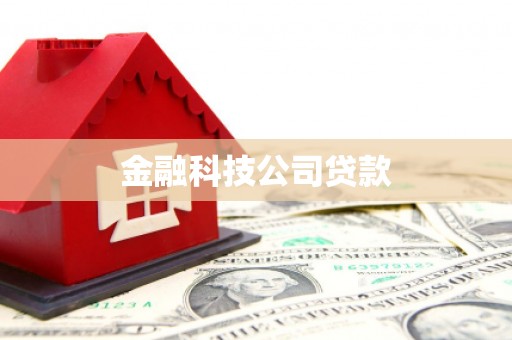 璧山金融科技公司贷款