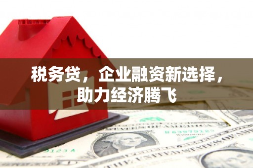 璧山税务贷，企业融资新选择，助力经济腾飞