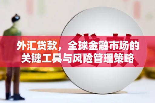 璧山外汇贷款，全球金融市场的关键工具与风险管理策略