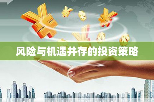 璧山风险与机遇并存的投资策略