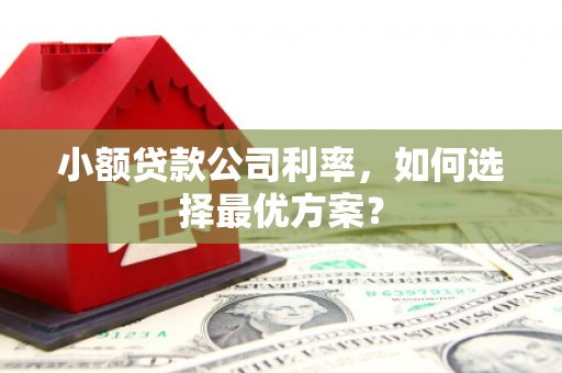 璧山小额贷款公司利率，如何选择最优方案？
