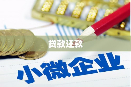 璧山贷款还款