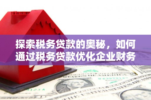 璧山探索税务贷款的奥秘，如何通过税务贷款优化企业财务