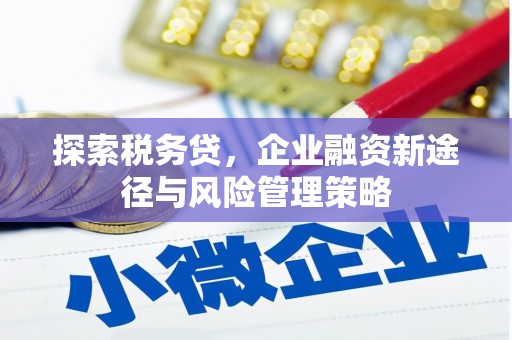 璧山探索税务贷，企业融资新途径与风险管理策略