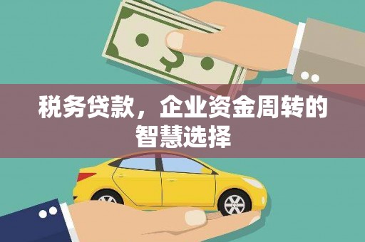 璧山税务贷款，企业资金周转的智慧选择