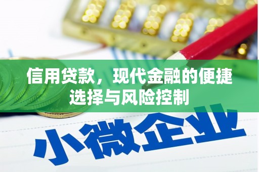 璧山信用贷款，现代金融的便捷选择与风险控制