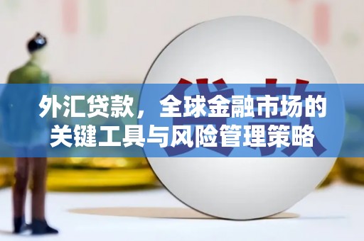 璧山外汇贷款，全球金融市场的关键工具与风险管理策略