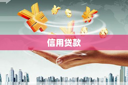 璧山信用贷款