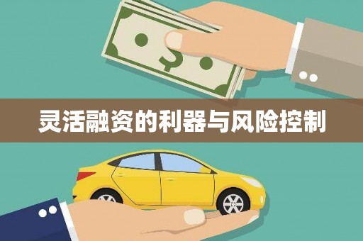 璧山灵活融资的利器与风险控制