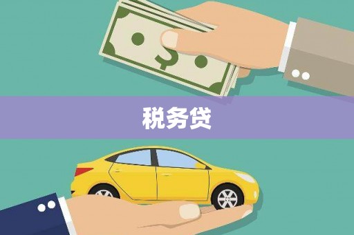 璧山税务贷