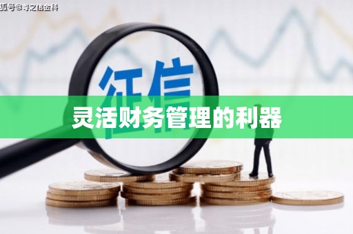 璧山灵活财务管理的利器