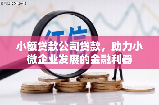 璧山小额贷款公司贷款，助力小微企业发展的金融利器