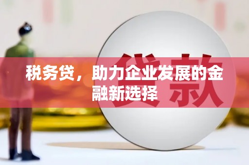 璧山税务贷，助力企业发展的金融新选择