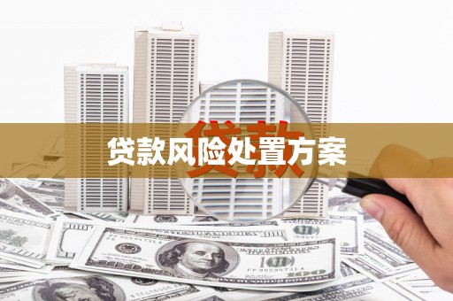 璧山贷款风险处置方案