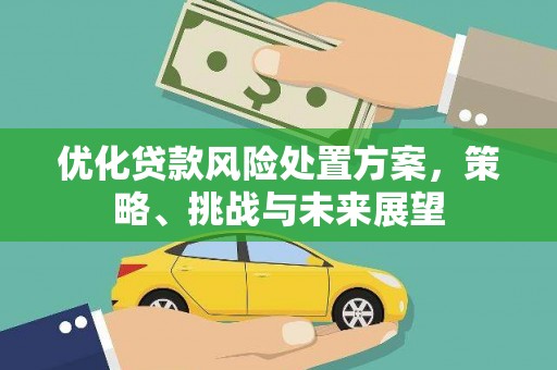 璧山优化贷款风险处置方案，策略、挑战与未来展望
