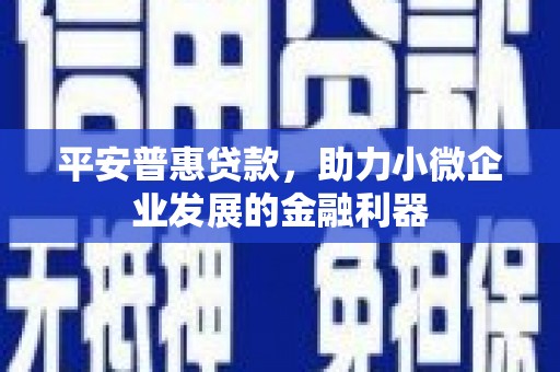 璧山平安普惠贷款，助力小微企业发展的金融利器