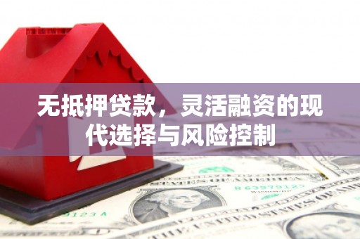 璧山无抵押贷款，灵活融资的现代选择与风险控制