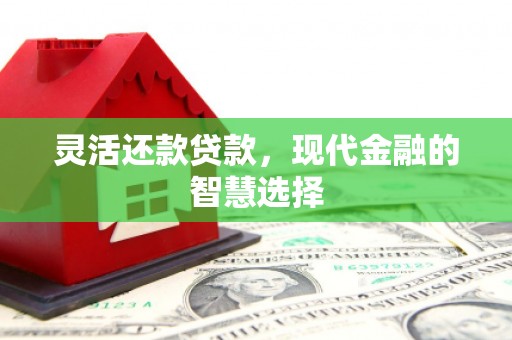 璧山灵活还款贷款，现代金融的智慧选择