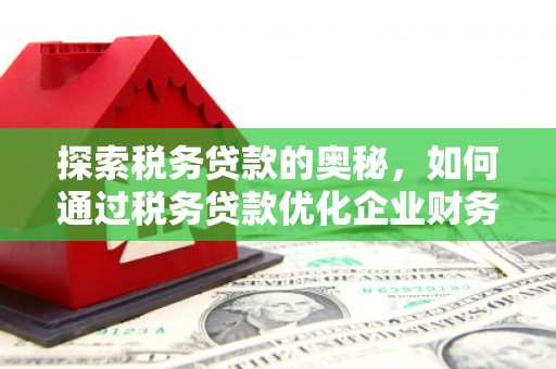 璧山探索税务贷款的奥秘，如何通过税务贷款优化企业财务