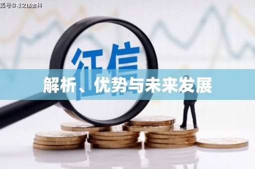 璧山解析、优势与未来发展