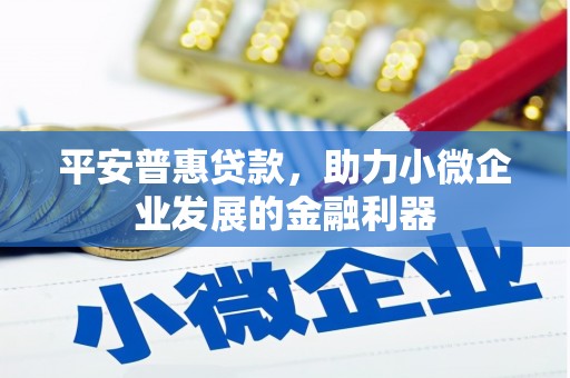 璧山平安普惠贷款，助力小微企业发展的金融利器