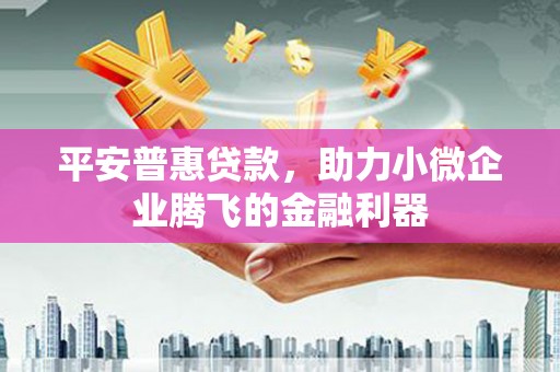 璧山平安普惠贷款，助力小微企业腾飞的金融利器