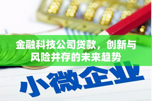 璧山金融科技公司贷款，创新与风险并存的未来趋势
