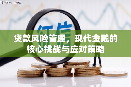璧山贷款风险管理，现代金融的核心挑战与应对策略